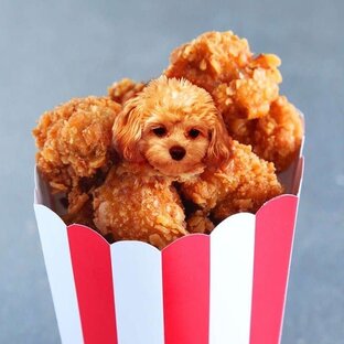 Моя собачка