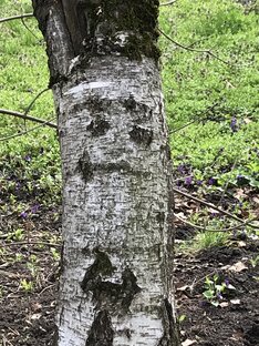 Прикольные фото 