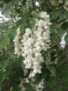 Лучшее о работе