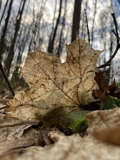 Фотографии