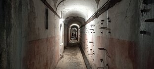 Внезапные проверки