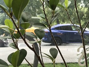 Синхронизмы. Мир рифмуется.