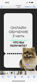 ОНЛАЙН ОБУЧЕНИЕ ПРОФЕССИЙ ГРУМИНГ🫶🏻