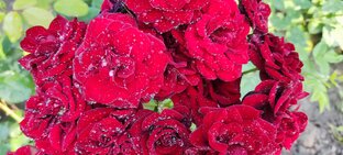 Статьи о разном