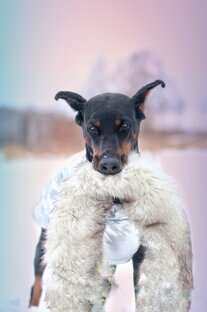Статьи о животных (поведение, повадки, питание и пр.. 