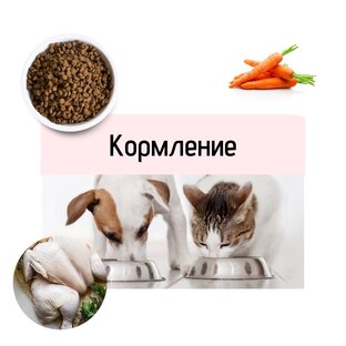 Кормление