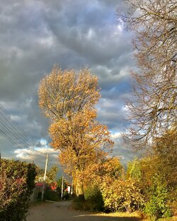 Фотки ФОТКУСа