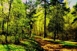 ПРЕКРАСНЫЙ МИР ПРИРОДЫ
