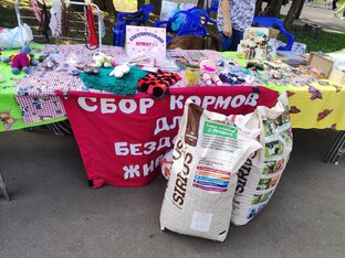 Благотворительные акции, акции по сбору вторсырья.