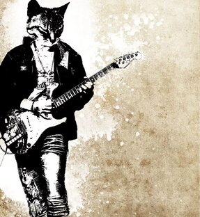 Про панка и питер 