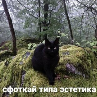 ДНЕВНИК СОВРЕМЕННОЙ ВЕДЬМЫ