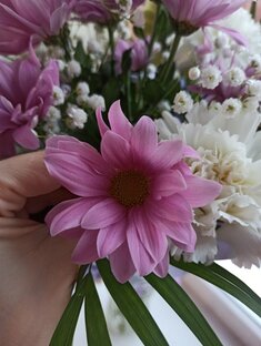 Природа и животные. Немного о себе.
