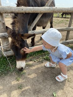 С животными 