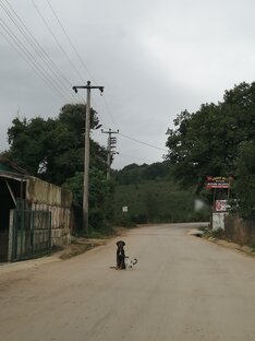 Живой уголок