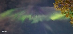 Природа Архангельской области