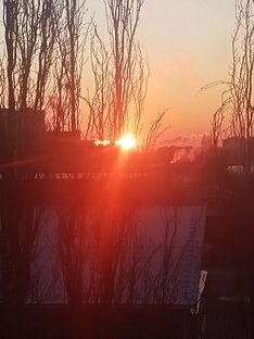 Рассказы, повести, романы.