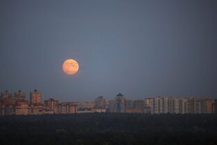 цитатник