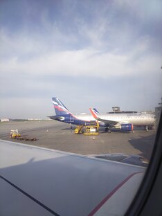 Немного путешествуем 🐾