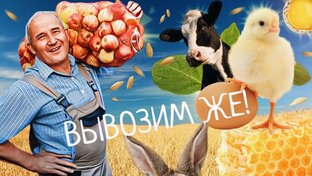 Проект «Вывозим же!»