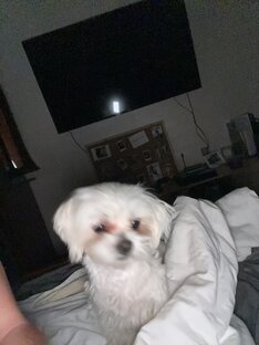 Вертикальные видео 