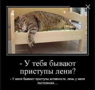 НЕ ЛЕНИСЬ!!!