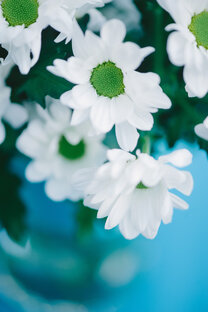 Правила праздника 