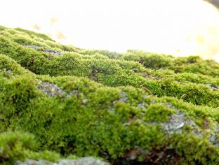 #немногоМакро