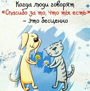 Юмор от Кавалера Сэма