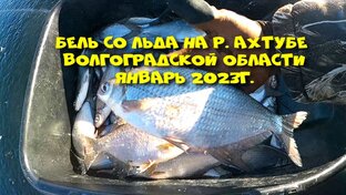 Рыбалка