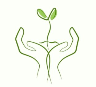 Посадка и уход