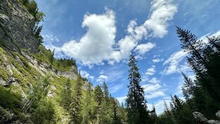 Алтайский край