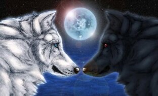 Человеком не рождаются им становятся