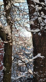 Красота в глазах смотрящего 