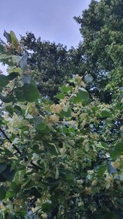 Летний гардероб