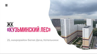 Обзор ЖК “Кузьминский лес”