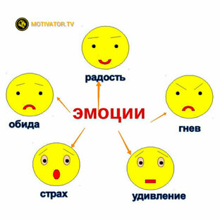 ЭМОЦИИ