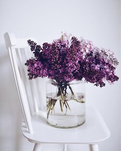 Записки из путешествий) 