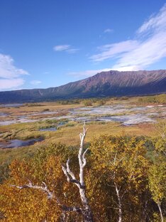 Истории от друзей и подписчиков