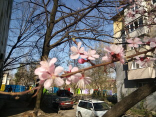 Куда сходить в Алматы