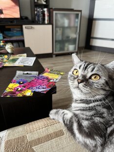 Рецепты зелёной ведьмы 🧙 