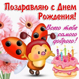 Поздравления с Днём рождения от звёзд!
