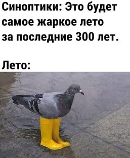 Юмор с позитивом