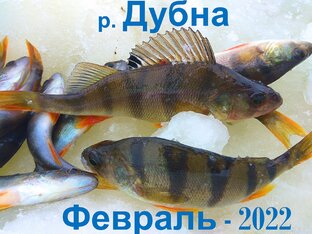 Все о рыбалке и грибах