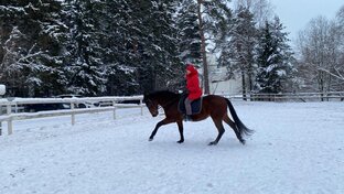 Жизнь после рака