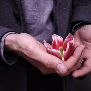 Стихотворение 