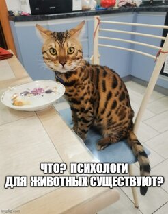 Мемы от Марселя