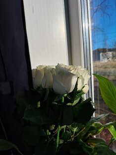 Цветочки 
