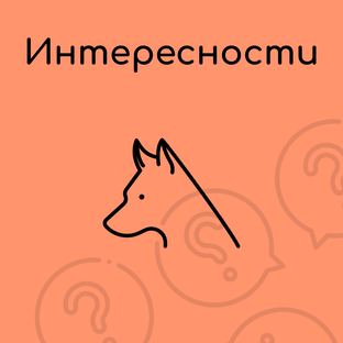 Интересности 