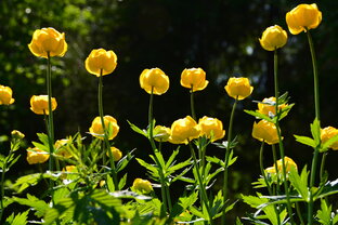 Малая Родина!