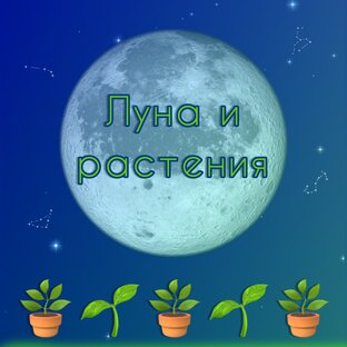 🌱🌙Луна и растения🌙🌱